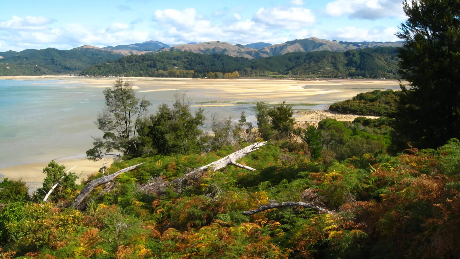 Professional Window Cleaning in Riwaka — Nelson & Tasman