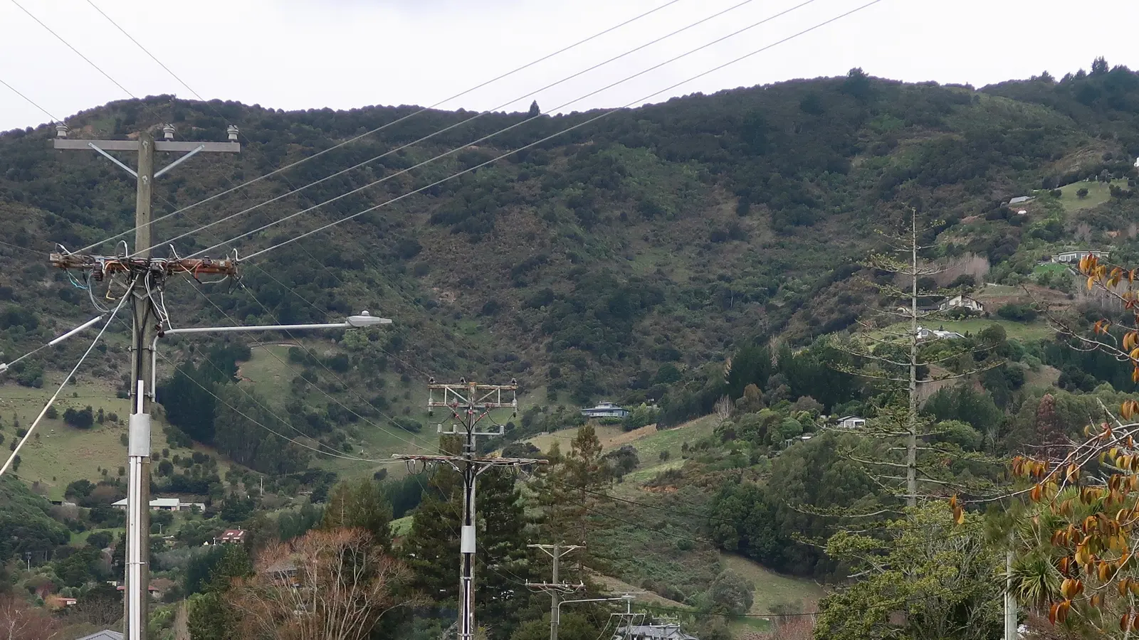 Professional Window Cleaning in Todd's Valley — Nelson & Tasman